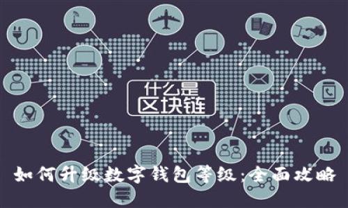 如何升级数字钱包等级：全面攻略