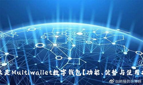 什么是Multiwallet数字钱包？功能、优势与使用指南