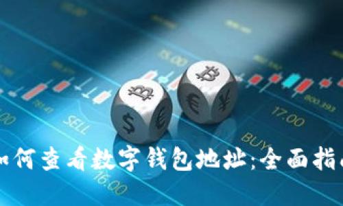 如何查看数字钱包地址：全面指南