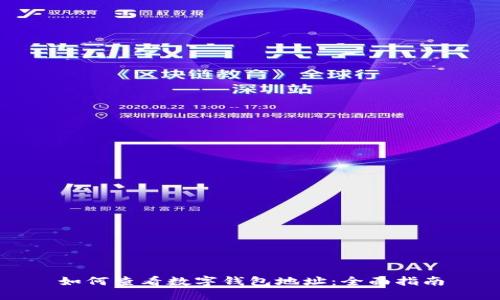 如何查看数字钱包地址：全面指南