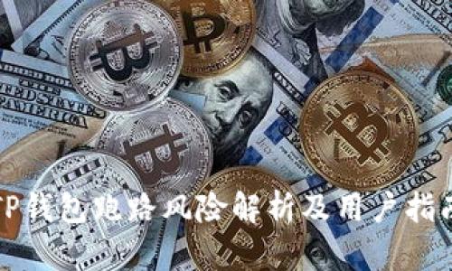 TP钱包跑路风险解析及用户指南