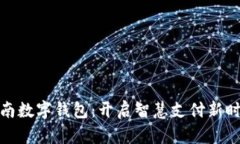 湖南数字钱包：开启智慧支付新时代