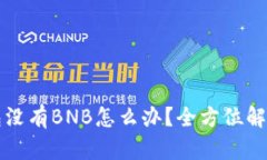 TP钱包没有BNB怎么办？全方