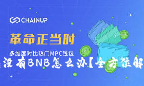 TP钱包没有BNB怎么办？全方位解决指南