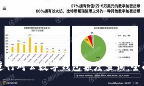 如何进行对公数字钱包额度查询：全面指南