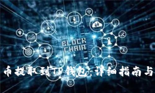 如何将数字货币提取到TP钱包：详细指南与常见问题解答