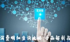 数字钱包消费明细查询攻略：全面解析与实用技