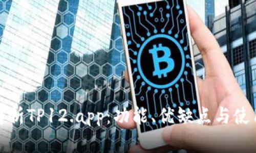 全面解析TP12.app：功能、优缺点与使用技巧