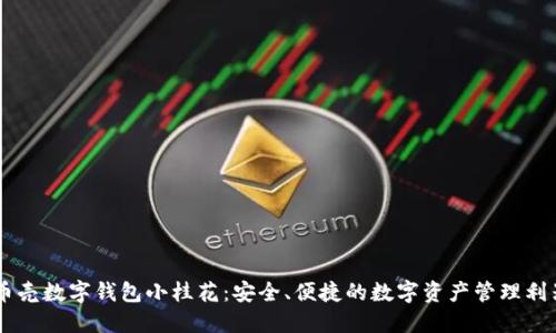 币壳数字钱包小桂花：安全、便捷的数字资产管理利器