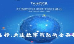 数字化生活新选择：大连数字钱包的全面解析与