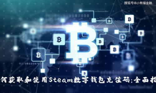 如何获取和使用Steam数字钱包充值码：全面指南
