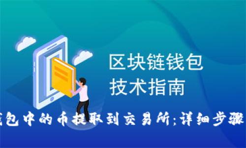 如何将TP钱包中的币提取到交易所：详细步骤与注意事项
