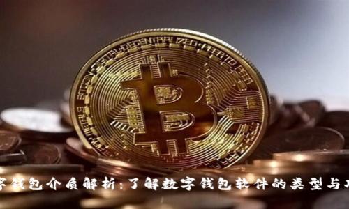 数字钱包介质解析：了解数字钱包软件的类型与功能