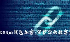 如何给Steam钱包加密：保护