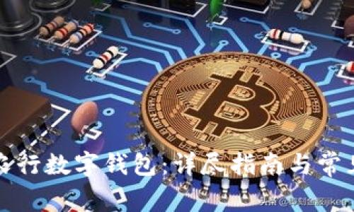 如何打开农行数字钱包：详尽指南与常见问题解答