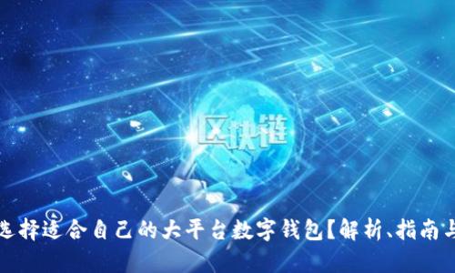 如何选择适合自己的大平台数字钱包？解析、指南与推荐
