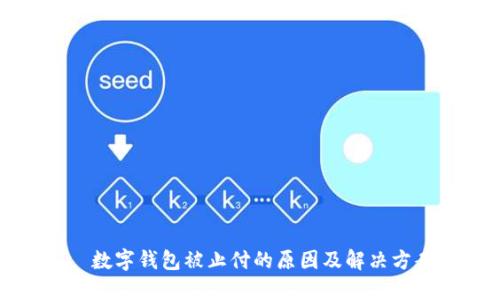   数字钱包被止付的原因及解决方案