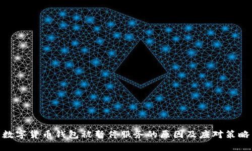 数字货币钱包被暂停服务的原因及应对策略