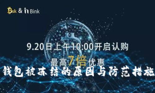 数字钱包被冻结的原因与防范措施详解