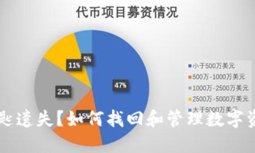 区块链钱包钥匙遗失？如何找回和管理数字资产的重要指南