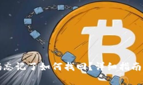 TP钱包交易密码忘记了如何找回？详细指南与常见问题解答