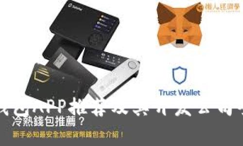 数字钱包APP推荐及其开发公司全解析