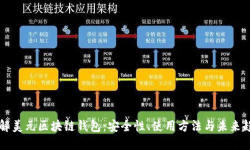 了解美元区块链钱包：安全性、使用方法与未来趋势