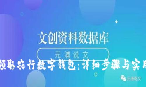 如何领取农行数字钱包：详细步骤与实用技巧