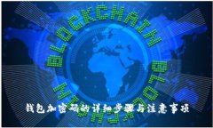 钱包加密码的详细步骤与