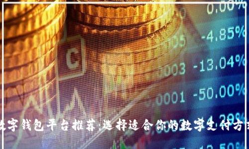 数字钱包平台推荐：选择适合你的数字支付方式