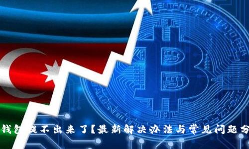 TP钱包提不出来了？最新解决办法与常见问题分析