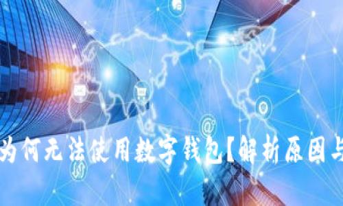 盒马鲜生为何无法使用数字钱包？解析原因与解决方案