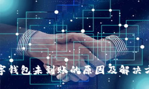 数字钱包未到账的原因及解决方案