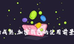 特斯拉加密钱包：未来支