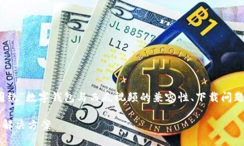 为了提供更准确的指导和内容，我将围绕“数字钱包与西瓜视频的兼容性、下载问题及解决方案”这一主题进行详细阐述。

数字钱包无法下载西瓜视频的原因及解决方案