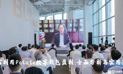 如何利用Potato数字钱包盈利：全面分析与实用策略