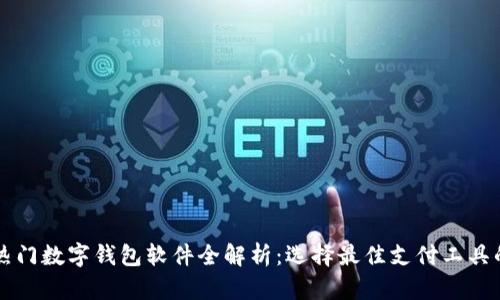 中国热门数字钱包软件全解析：选择最佳支付工具的指南