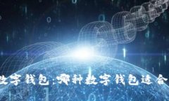 探索数字钱包：哪种数字
