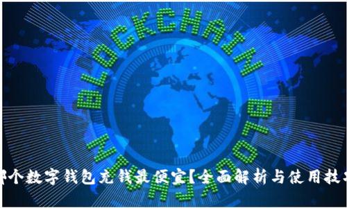 哪个数字钱包充钱最便宜？全面解析与使用技巧