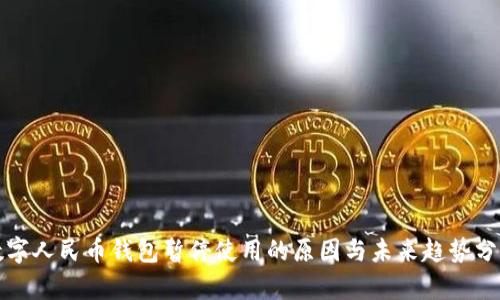 数字人民币钱包暂停使用的原因与未来趋势分析