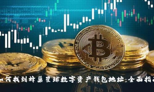 如何找到蜂巢星球数字资产钱包地址：全面指南