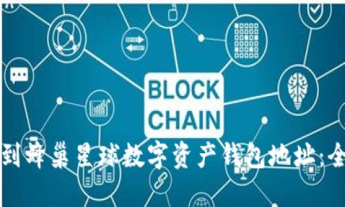 如何找到蜂巢星球数字资产钱包地址：全面指南