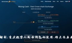全面解析：重庆数字人民