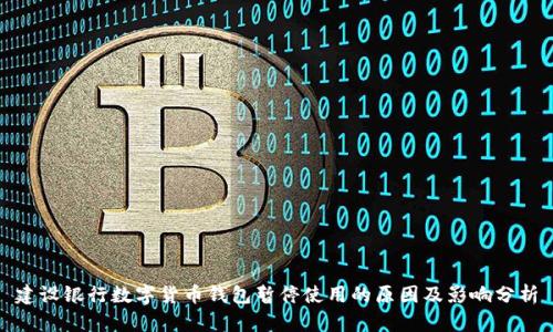 建设银行数字货币钱包暂停使用的原因及影响分析