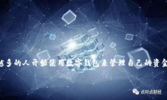 数字钱包属于哪种钱包是