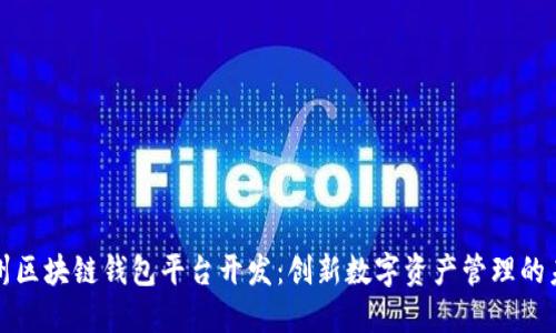 滁州区块链钱包平台开发：创新数字资产管理的未来