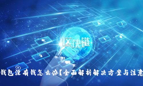数字钱包没有钱怎么办？全面解析解决方案与注意事项