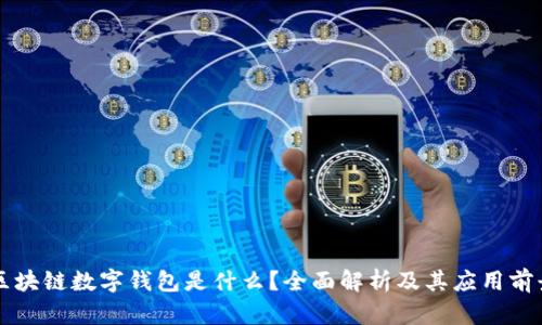 区块链数字钱包是什么？全面解析及其应用前景
