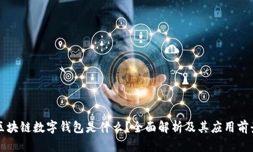 区块链数字钱包是什么？全面解析及其应用前景