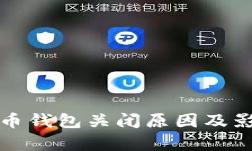 建行数字货币钱包关闭原因及影响深度分析